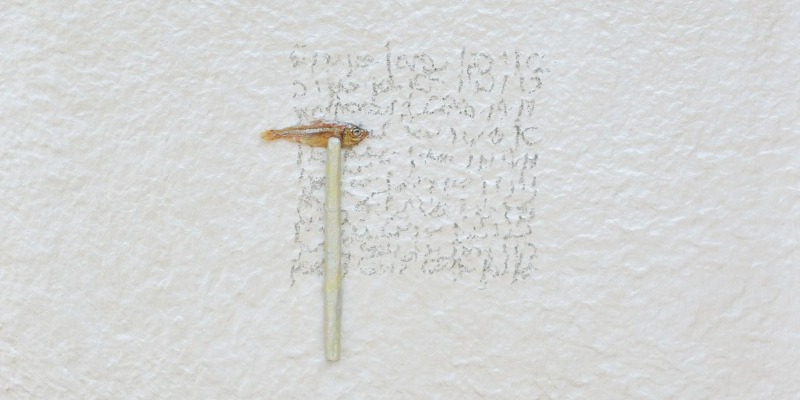 'Suenyo de Chikez